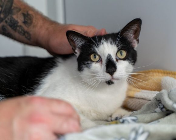Daisy – I’m reserved