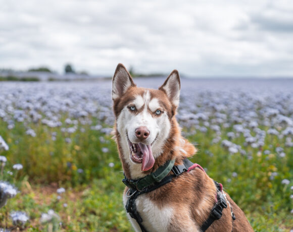 Daiki – I have a family interested in me Daiki – I have a family interested in me