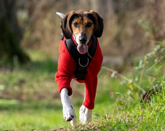 Gem – I have a family interested in me Gem – I have a family interested in me