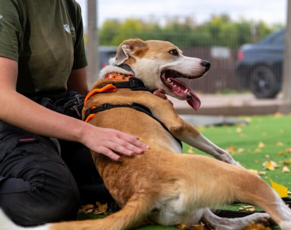 Zeus – I have a family interested in me Zeus – I have a family interested in me