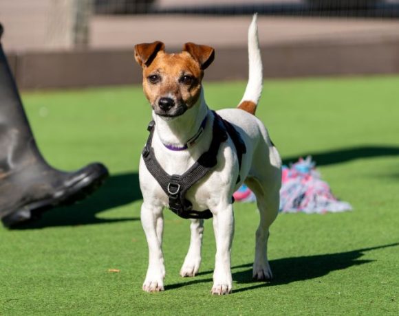 Summer – I have a family interested in me Summer – I have a family interested in me